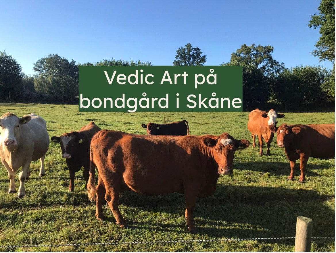 Hässleholm 6-7 juni 2026 - Livsuppgift Dharma