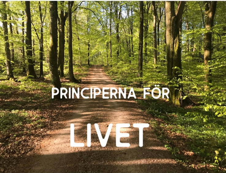 Hässleholm 13-14 september 2025 - Principerna för LIVET