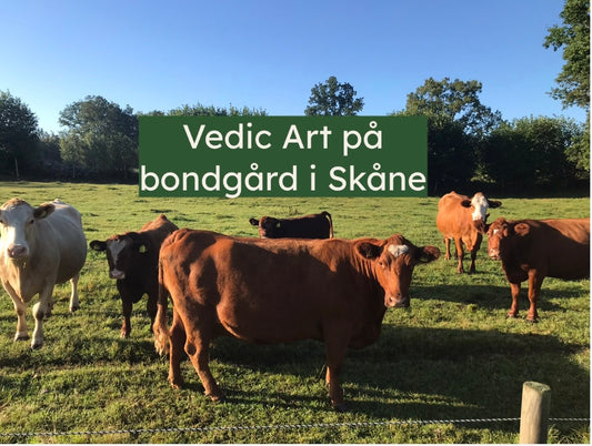 Hässleholm 6-7 juni 2026 - Livsuppgift Dharma